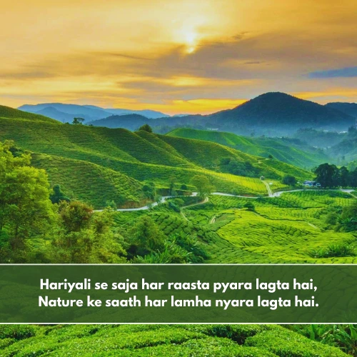 Love Nature Shayari in English 2 Line
