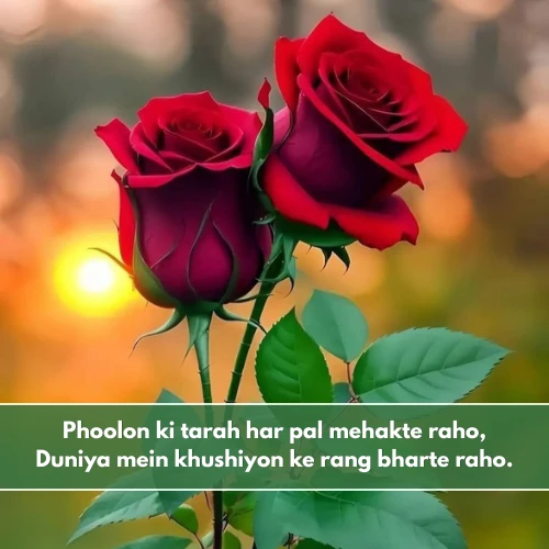 Beautiful Flower Shayari in English Beautiful Flower Shayari in English