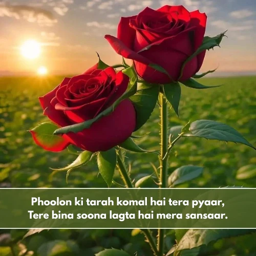 Flower Shayari in English For Girl Flower Shayari in English For Girl