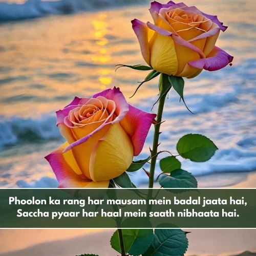 Flower Shayari in English For Instagram Flower Shayari in English For Instagram