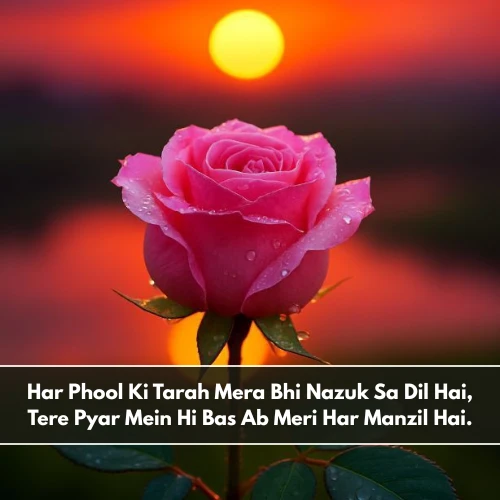 Flower Shayari in English Flower Shayari in English