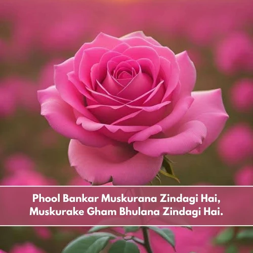 Life Flower Shayari in English Life Flower Shayari in English