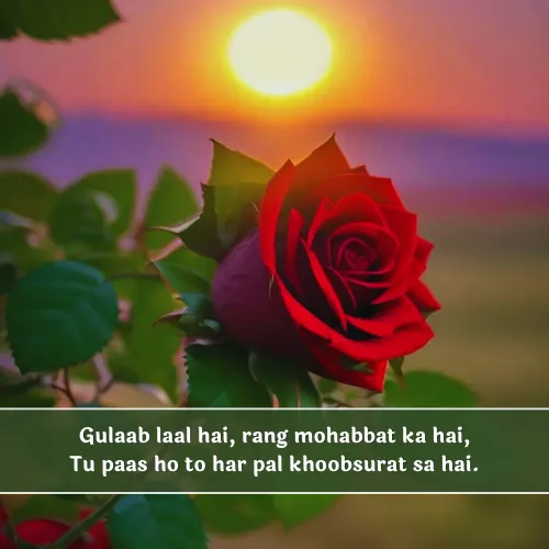 Red Rose Shayari in English Red Rose Shayari in English