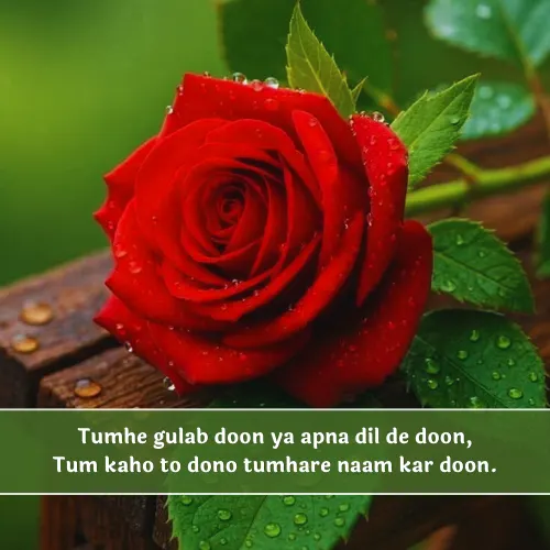 Romantic Rose Shayari in English Romantic Rose Shayari in English