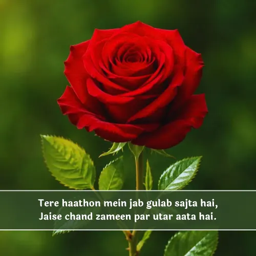 Rose Shayari in English Hindi Rose Shayari in English Hindi