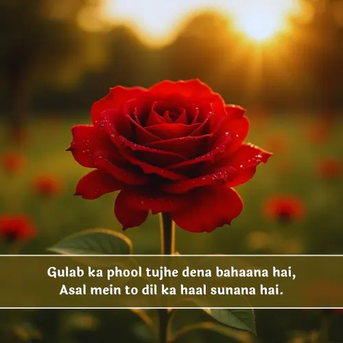 Rose Shayari in English Text Rose Shayari in English Text